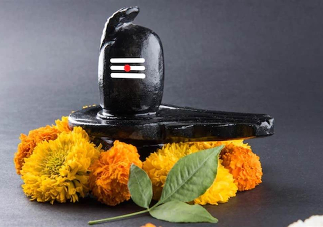 Tv 24 Network: Best News Channel in India