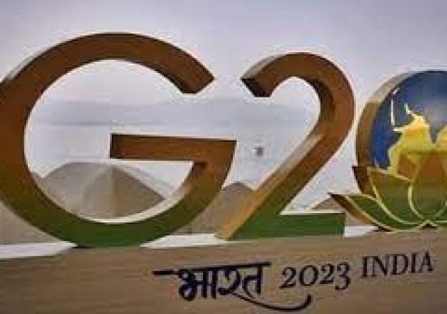 Tv 24 Network: Best News Channel in India