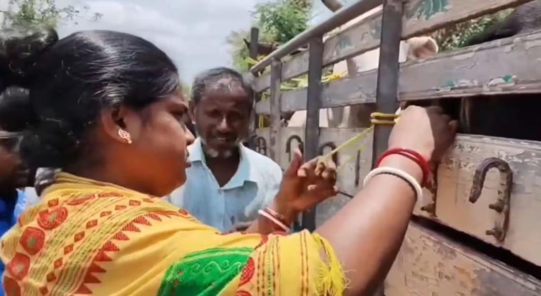 BJP MLA Rekha Patra